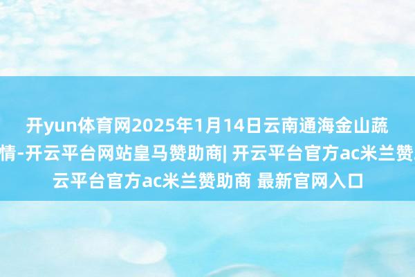 开yun体育网2025年1月14日云南通海金山蔬菜批发商场价钱行情-开云平台网站皇马赞助商| 开云平台官方ac米兰赞助商 最新官网入口