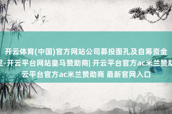 开云体育(中国)官方网站公司募投面孔及自筹资金培育面孔接踵插足-开云平台网站皇马赞助商| 开云平台官方ac米兰赞助商 最新官网入口