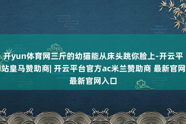 开yun体育网三斤的幼猫能从床头跳你脸上-开云平台网站皇马赞助商| 开云平台官方ac米兰赞助商 最新官网入口