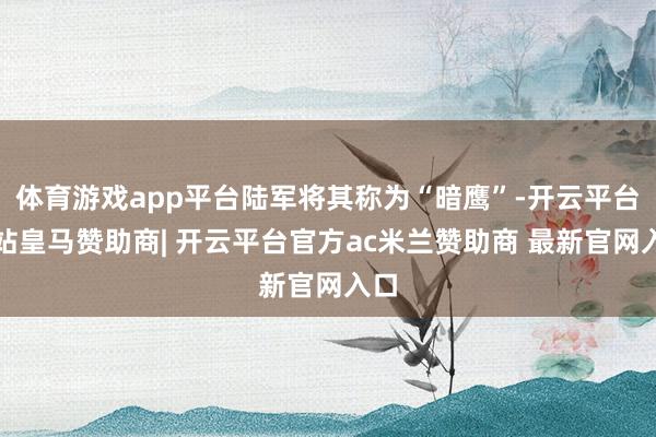 体育游戏app平台陆军将其称为“暗鹰”-开云平台网站皇马赞助商| 开云平台官方ac米兰赞助商 最新官网入口