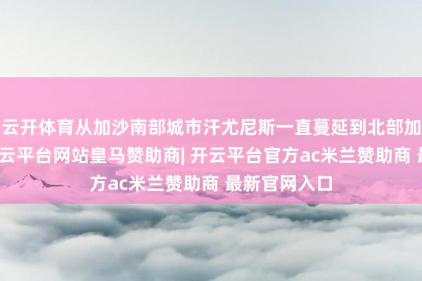 云开体育从加沙南部城市汗尤尼斯一直蔓延到北部加沙城隔邻-开云平台网站皇马赞助商| 开云平台官方ac米兰赞助商 最新官网入口