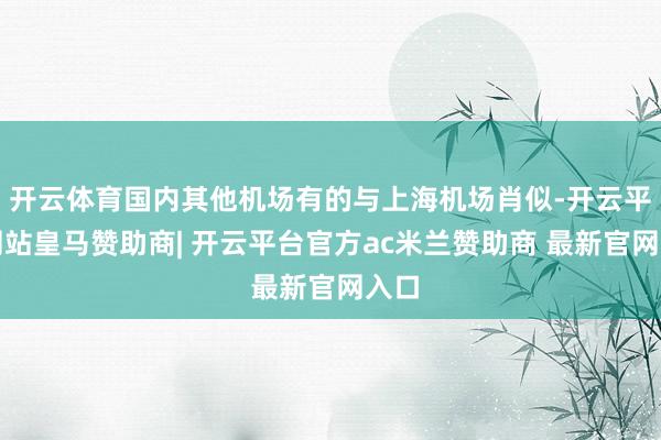 开云体育国内其他机场有的与上海机场肖似-开云平台网站皇马赞助商| 开云平台官方ac米兰赞助商 最新官网入口